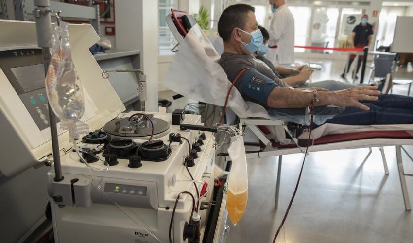 Donant de plasma