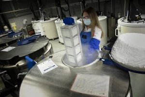 Sales Blanques del Banc de Sang i Teixits de Catalunya 