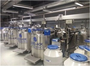 tancs de criopreservació