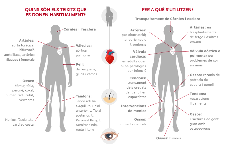 Infografia donació de teixits