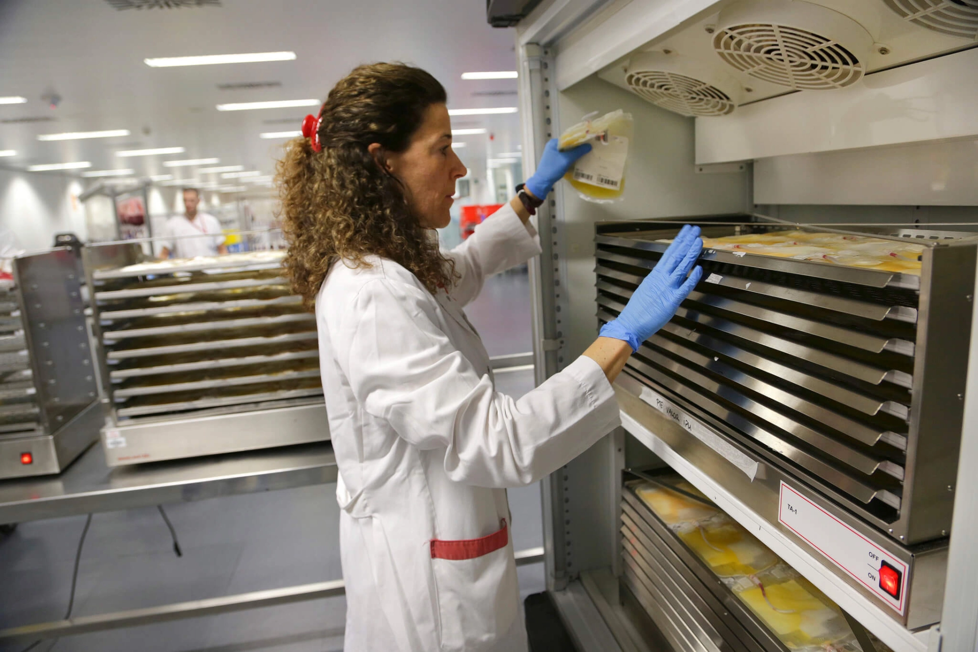 Elaboració de plaquetes